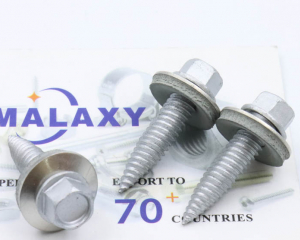 (Shanghai Malaxy Industry Co., Ltd.)